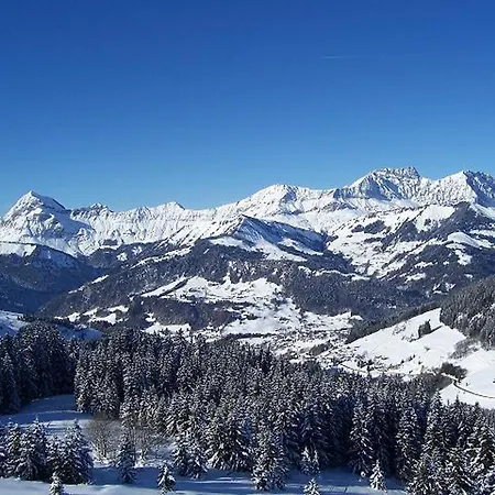 Apartment 4/5 Pers Au Pied Des Pistes Avec Balcon, Wifi, Parking, Animaux Ok - Fr-1-505-65 *